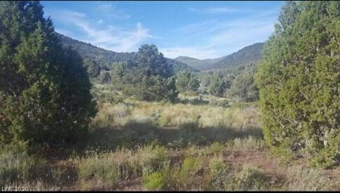 Ely, NV 89301,11 ac in Bothwick