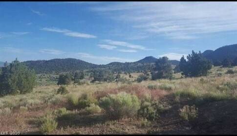 Ely, NV 89301,11 ac in Bothwick