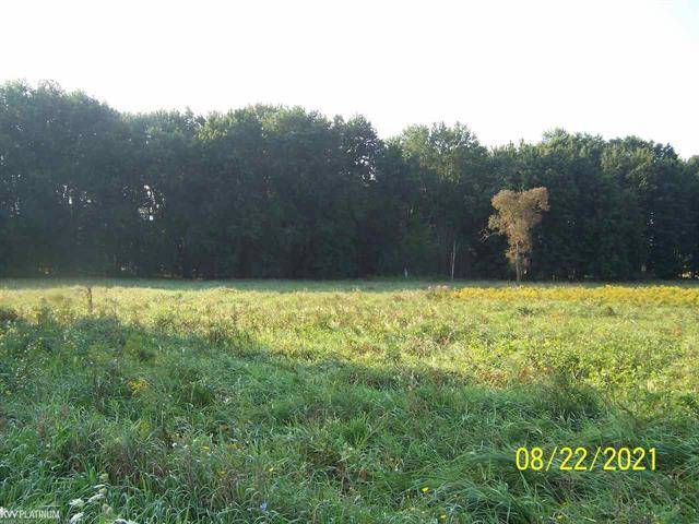 Mussey Twp, MI 48014,SULLIVAN RD