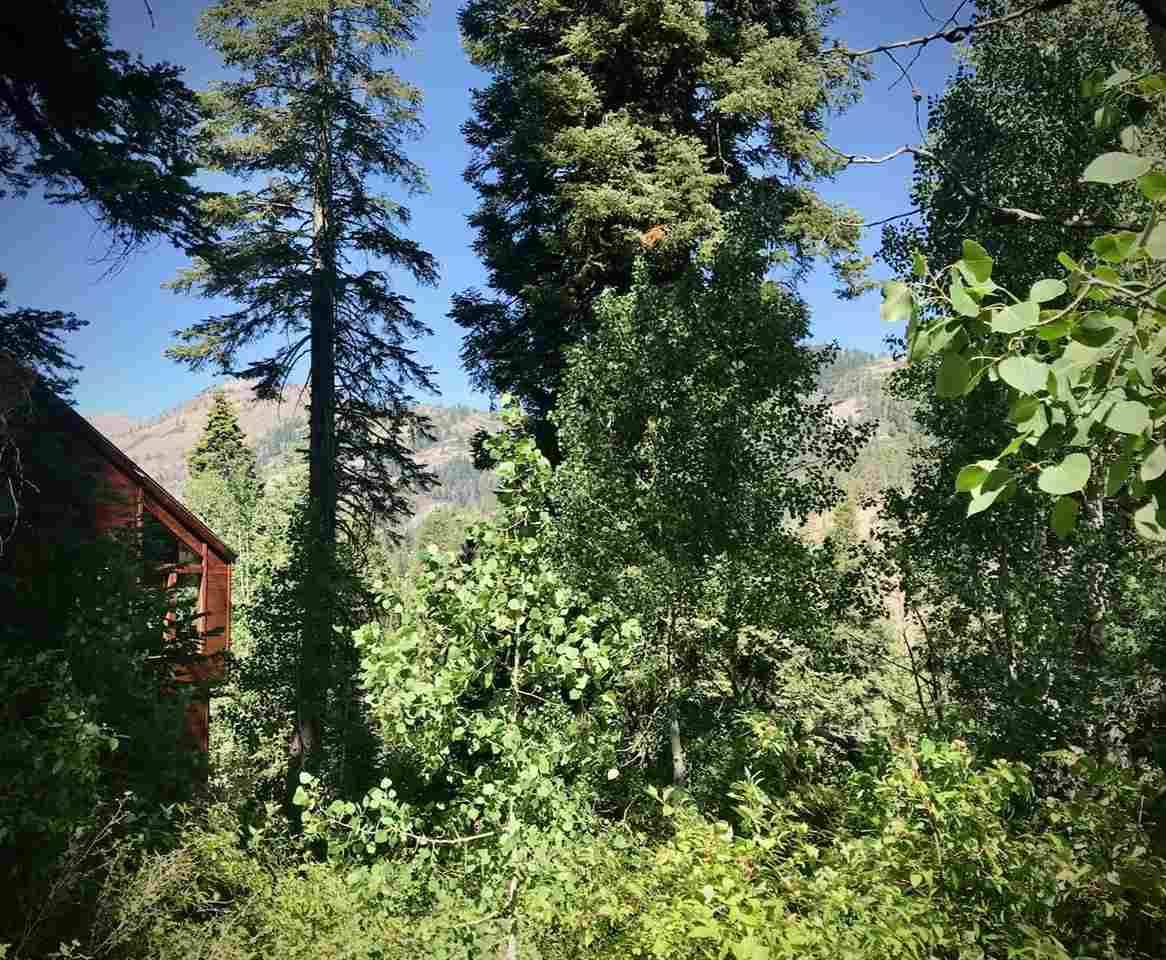 Alpine Meadows, CA 96146,1063 Snow Crest Road