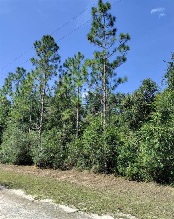 Webster, FL 33597,7369 MULBERRY DRIVE