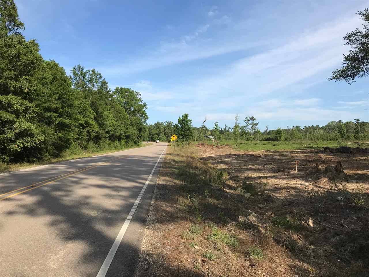 Springfield, LA 70462,Lot 3 CHURCH BRANCH RD