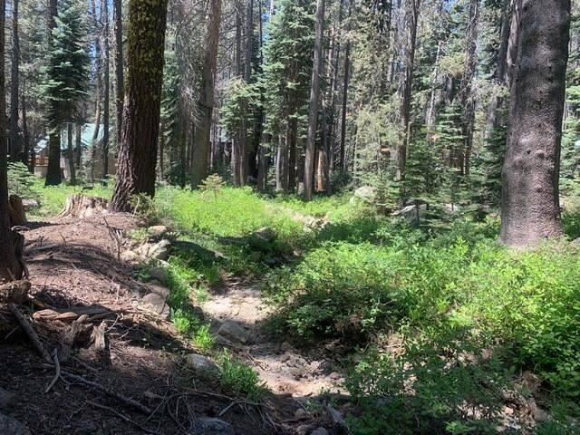 Soda Springs, CA 95728,21164 Donner Pass Road