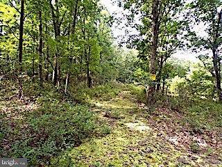 New Creek, WV 26743,31 AUTUMN LEAF