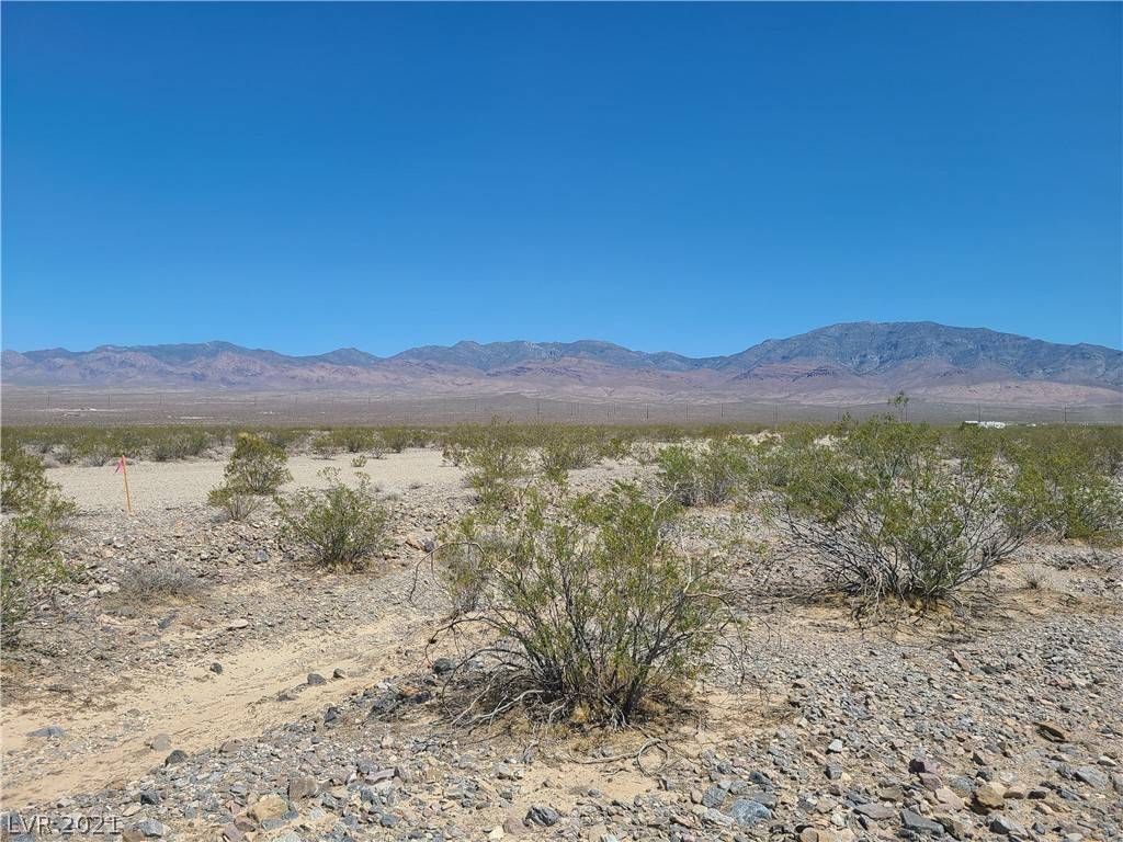 Pahrump, NV 89060,1620 Pony Drive