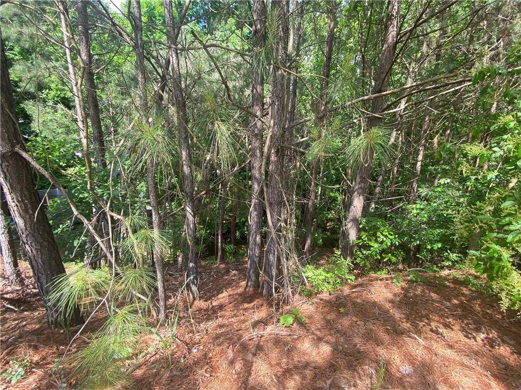 Gainesville, GA 30506,9135 Fox Trail LN