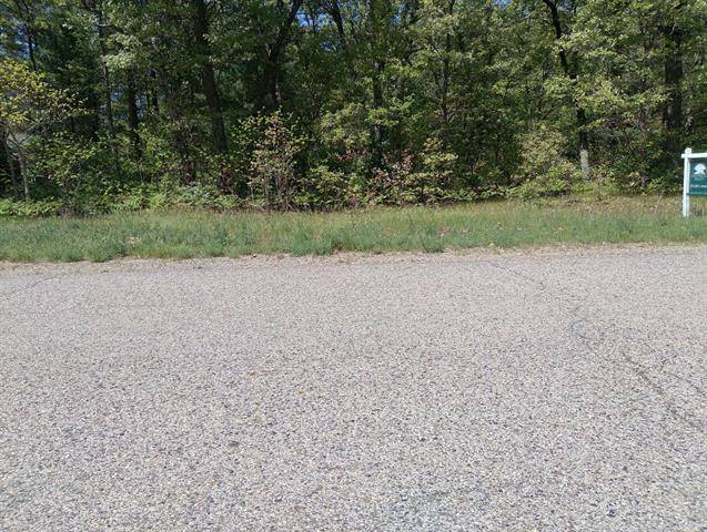 Dalton Twp, MI 49457,6243 Wasatch Lane Lot 11