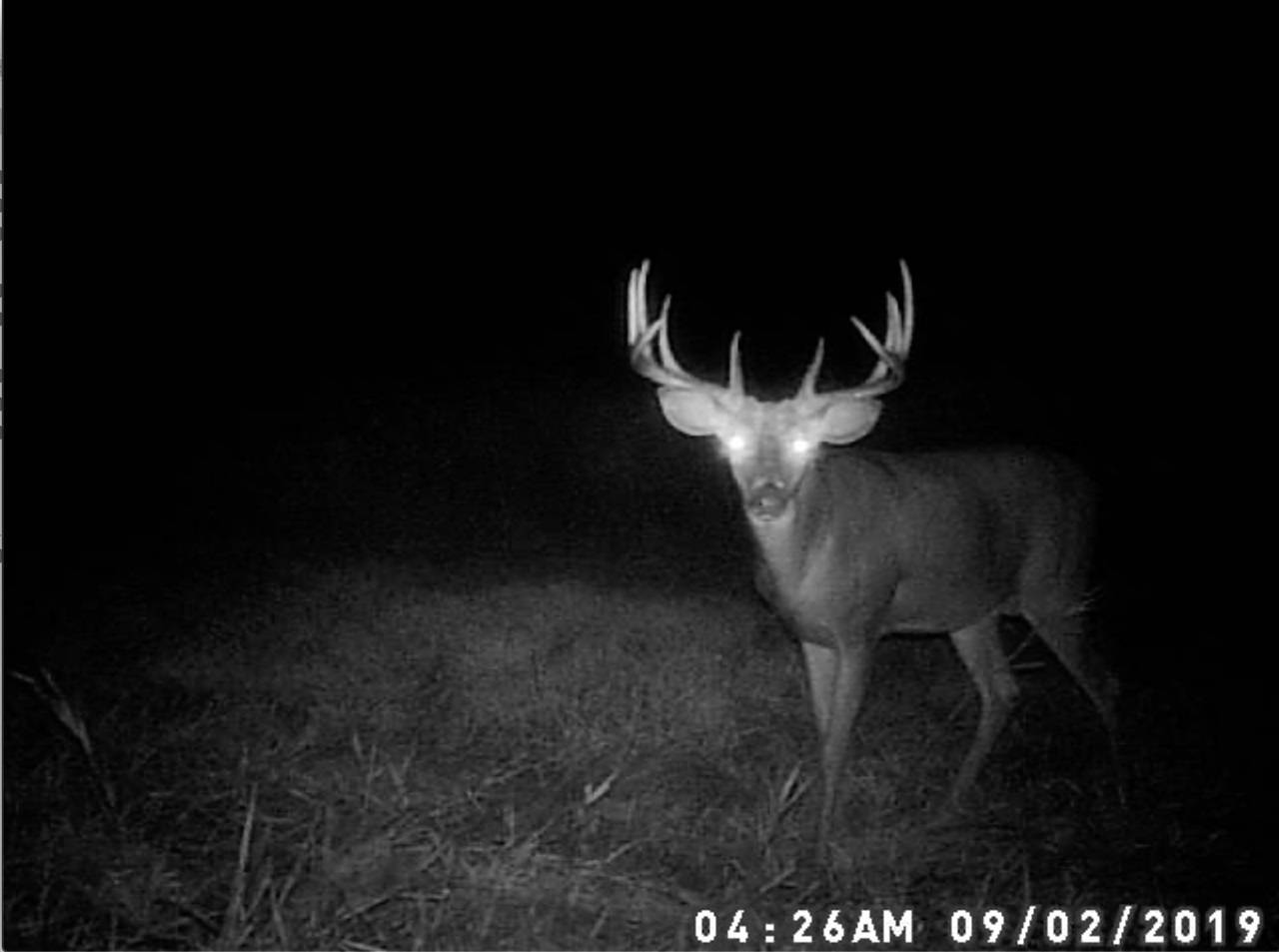 Koshkonong Rd, Cottage Grove, WI 53527-8105