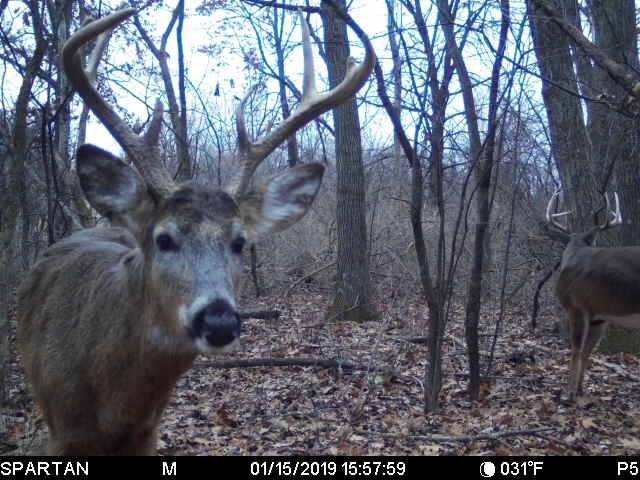 Koshkonong Rd, Cottage Grove, WI 53527-8105