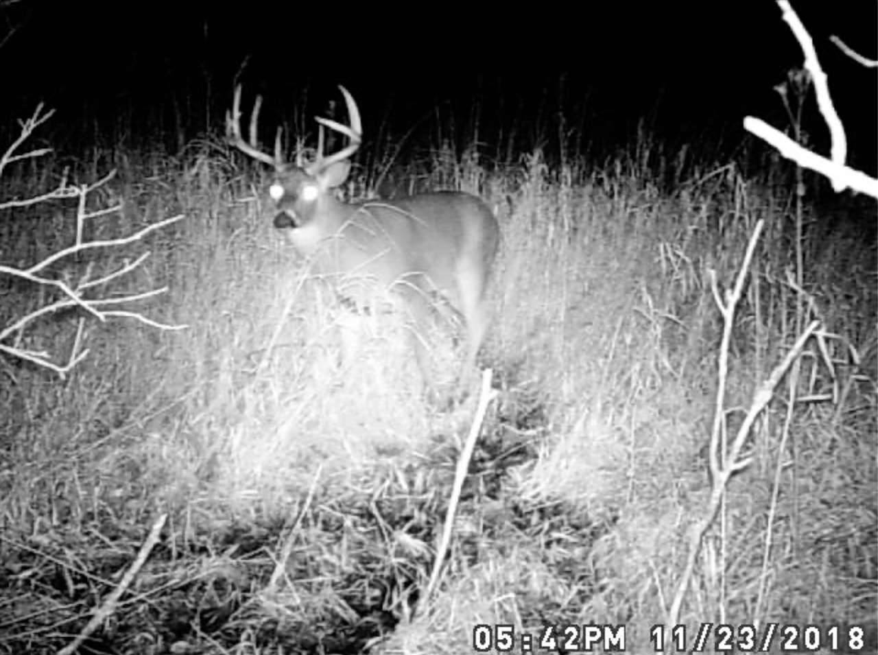 Koshkonong Rd, Cottage Grove, WI 53527-8105