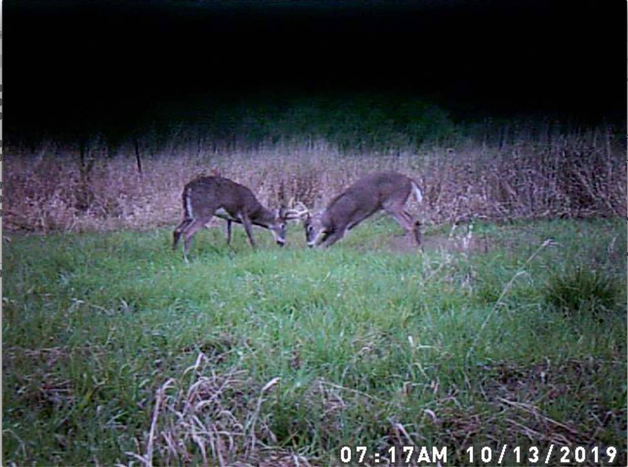 Koshkonong Rd, Cottage Grove, WI 53527-8105