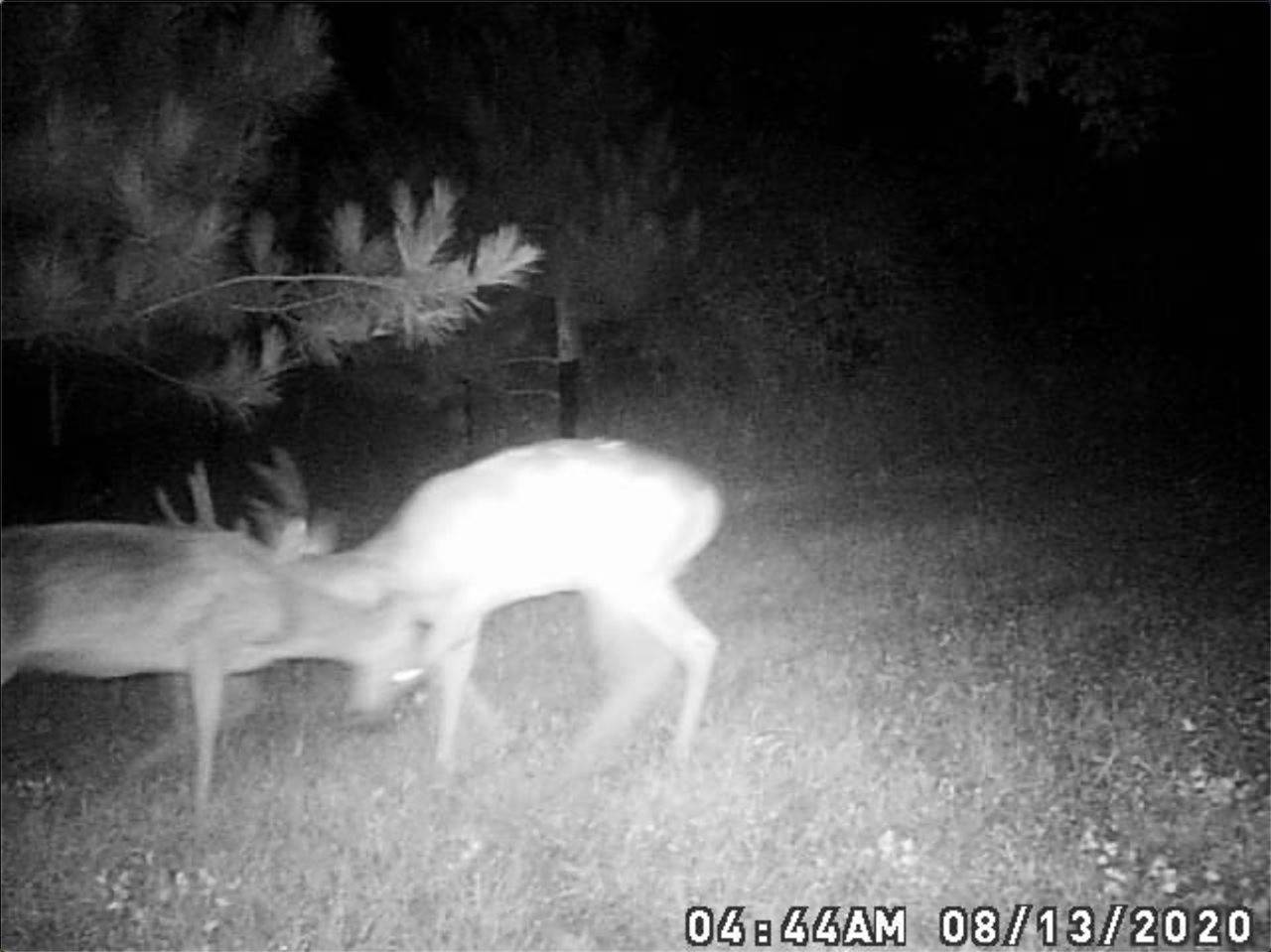 Koshkonong Rd, Cottage Grove, WI 53527-8105