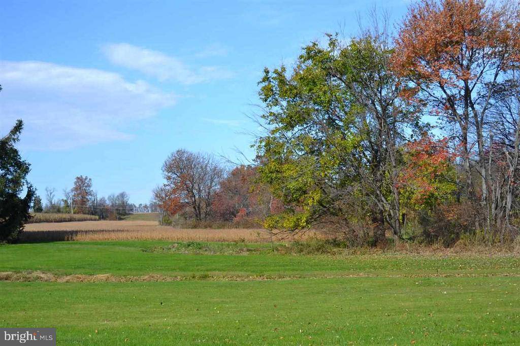 Fawn Grove, PA 17321,VACANT LAND MAIN ST