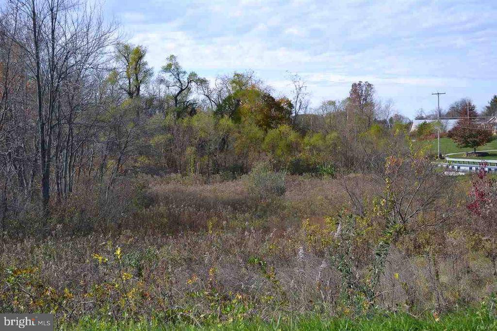 Fawn Grove, PA 17321,VACANT LAND MAIN ST