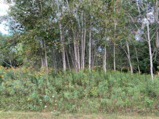 Thornapple Twp, MI 49333,108th Parcel N