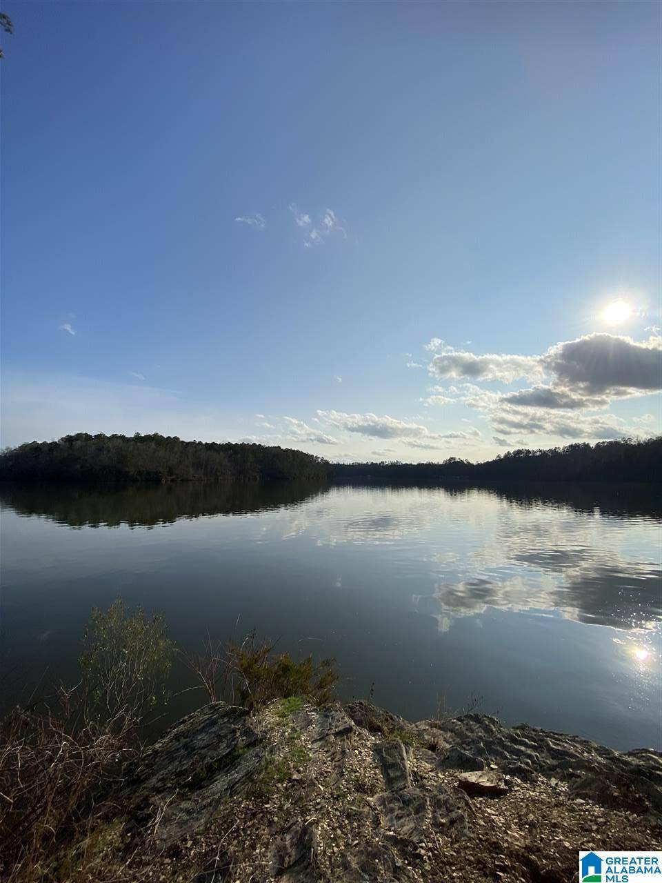 Clanton, AL 35046,LOT-19 LAKE FRONT TRAIL #LOT-19