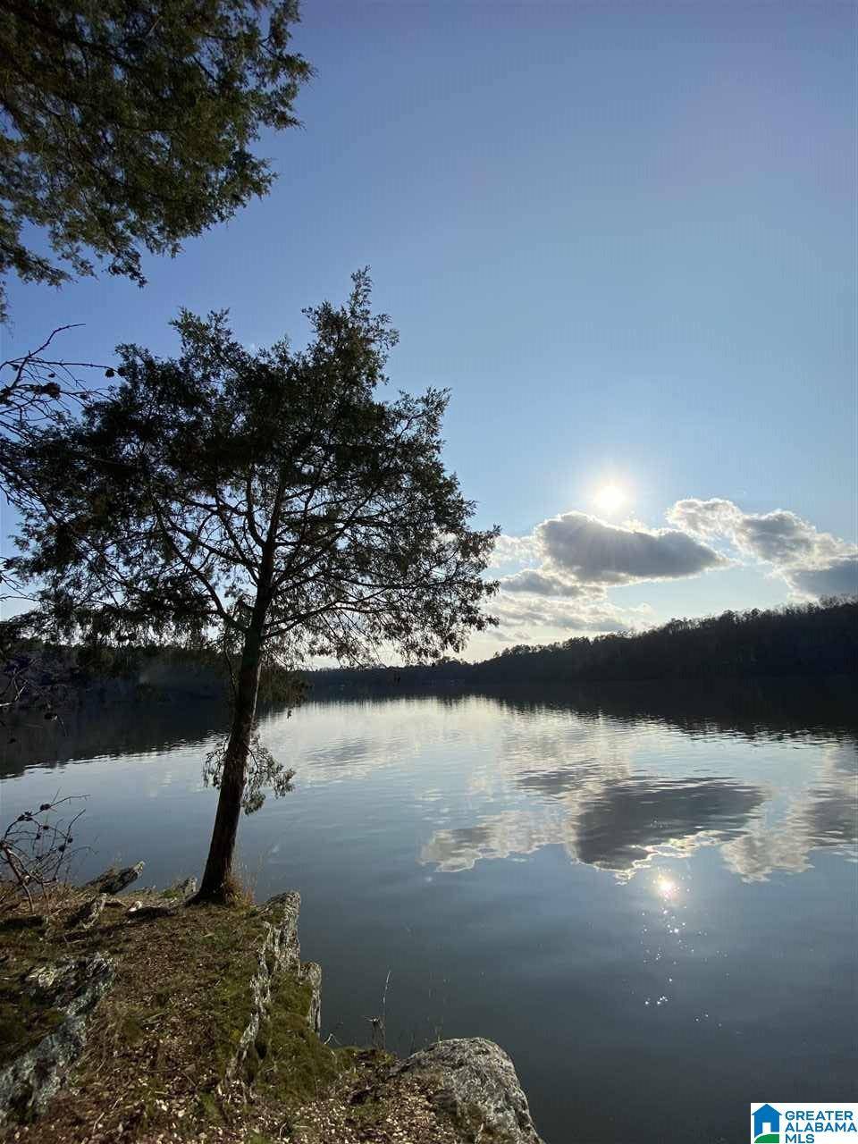 Clanton, AL 35046,LOT-19 LAKE FRONT TRAIL #LOT-19