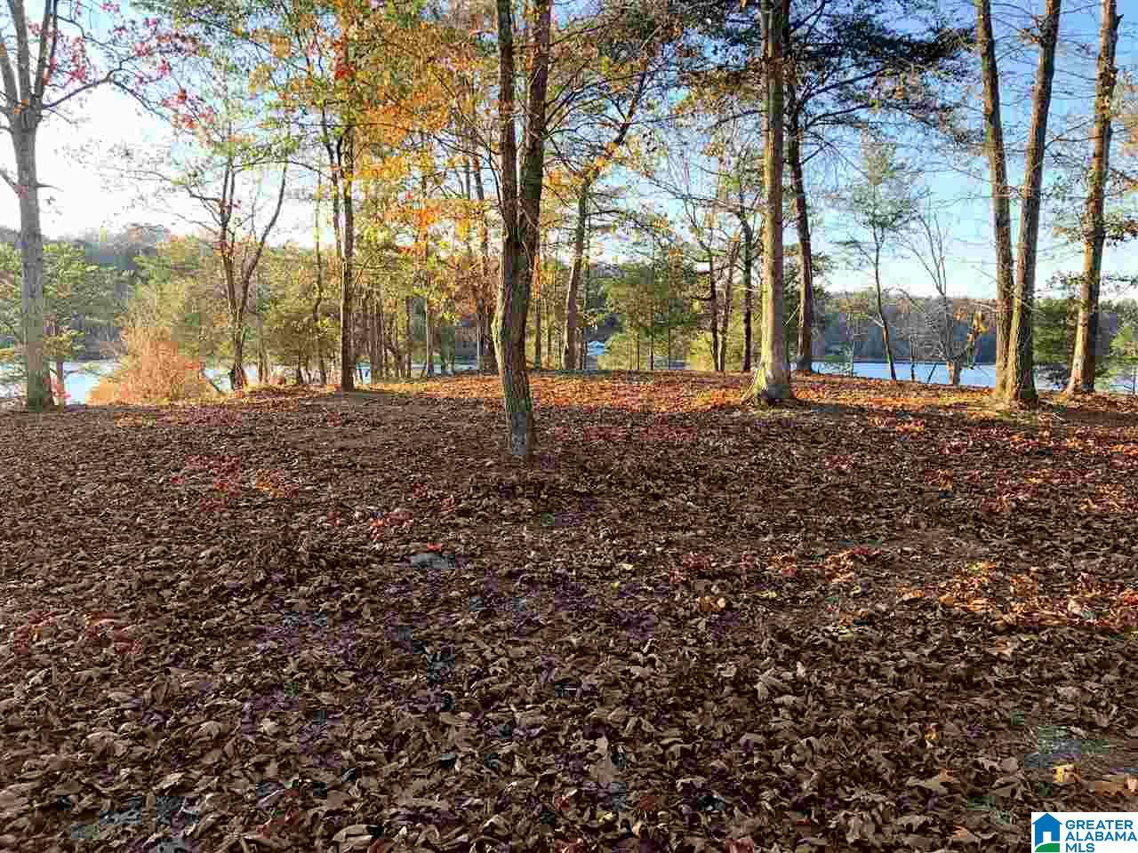 Clanton, AL 35046,LOT-19 LAKE FRONT TRAIL #LOT-19