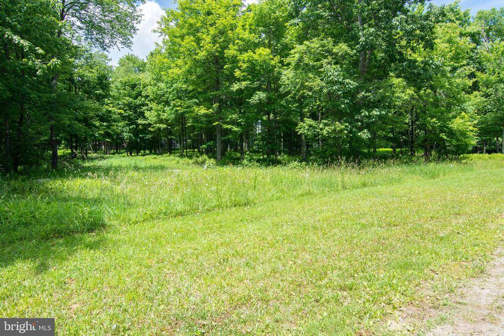 Mc Henry, MD 21541,LOT #2 FERN LOOP