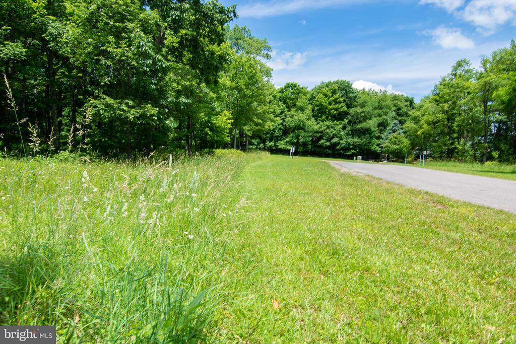 Mc Henry, MD 21541,LOT #2 FERN LOOP