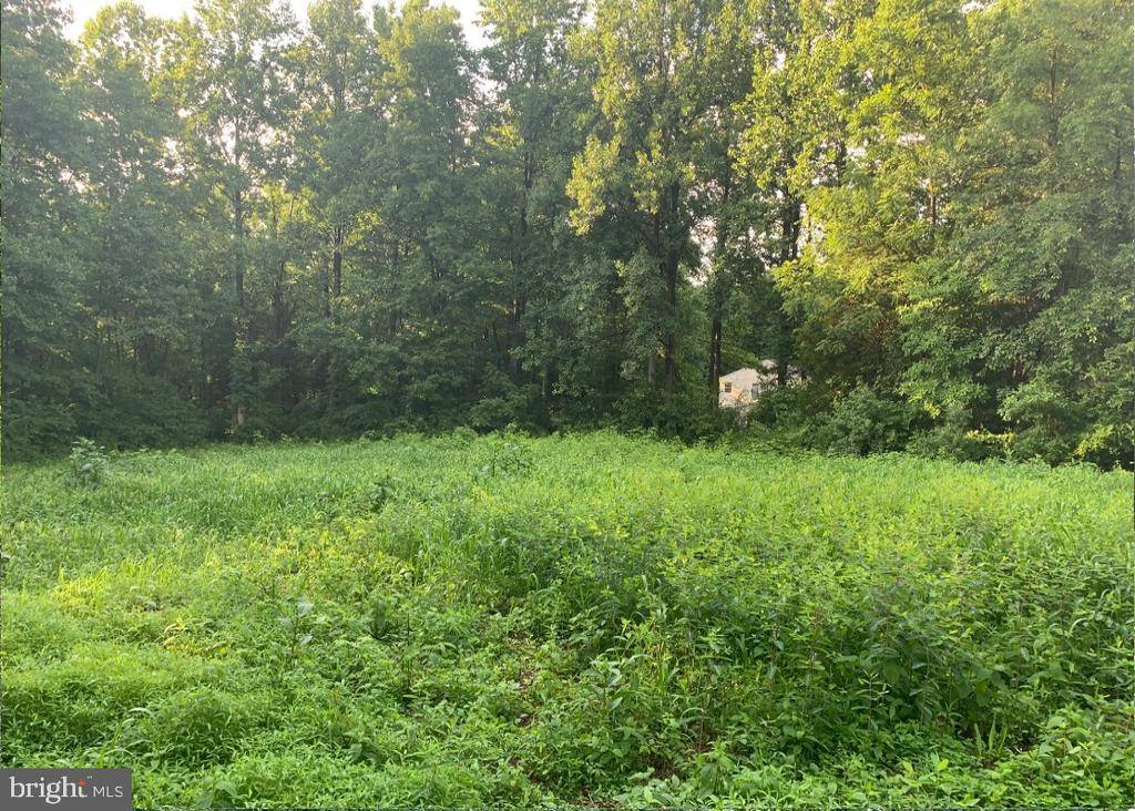 New Park, PA 17352,0-LOT #5 WILEY MILL RD