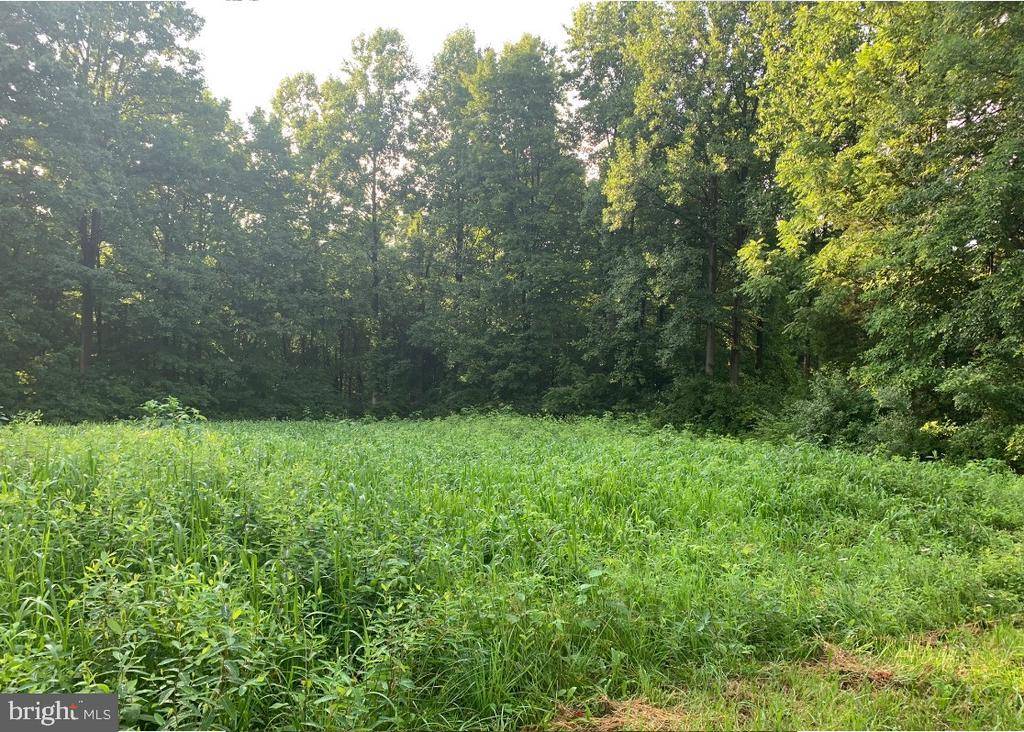 New Park, PA 17352,0-LOT #5 WILEY MILL RD